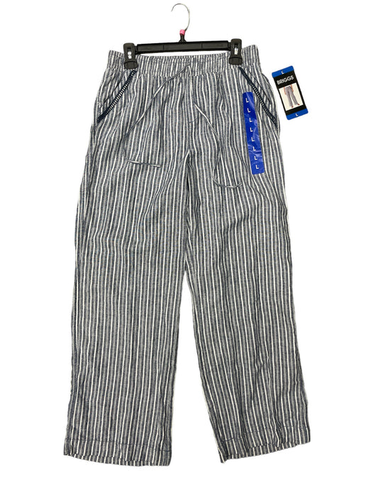 Pants Linen By Briggs  Size: 10