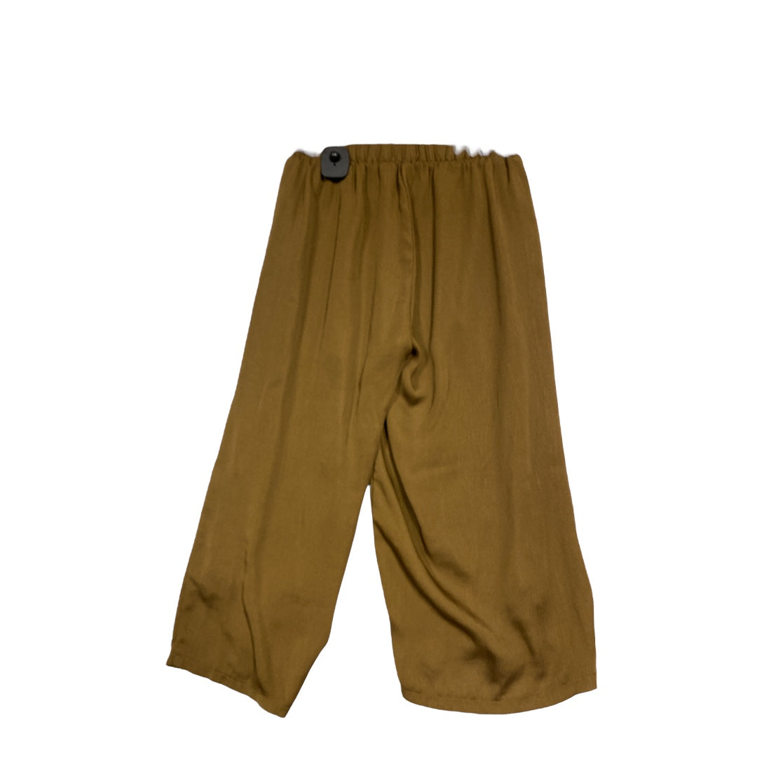 Pants Designer By Cma  Size: M