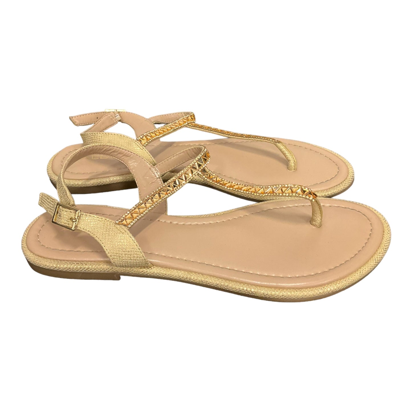 Sandals Flats By Aldo  Size: 10