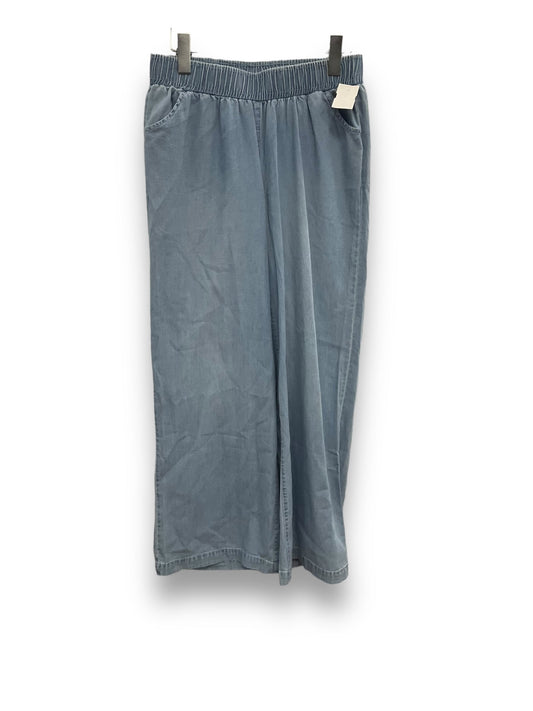 Pants Joggers By Diane Gilman  Size: S