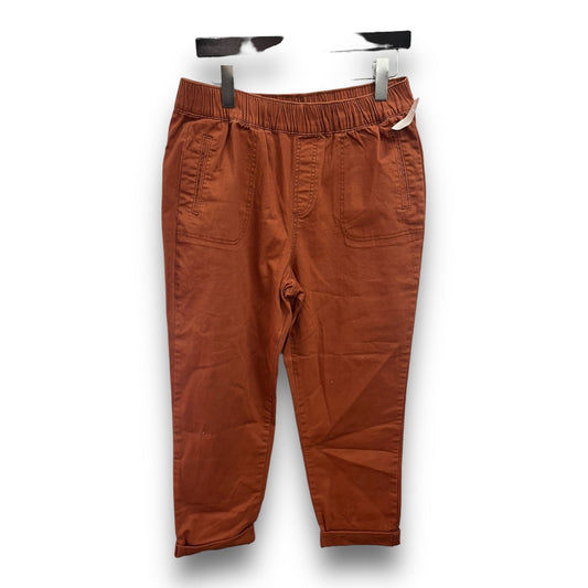 Pants Ankle By Cato  Size: L