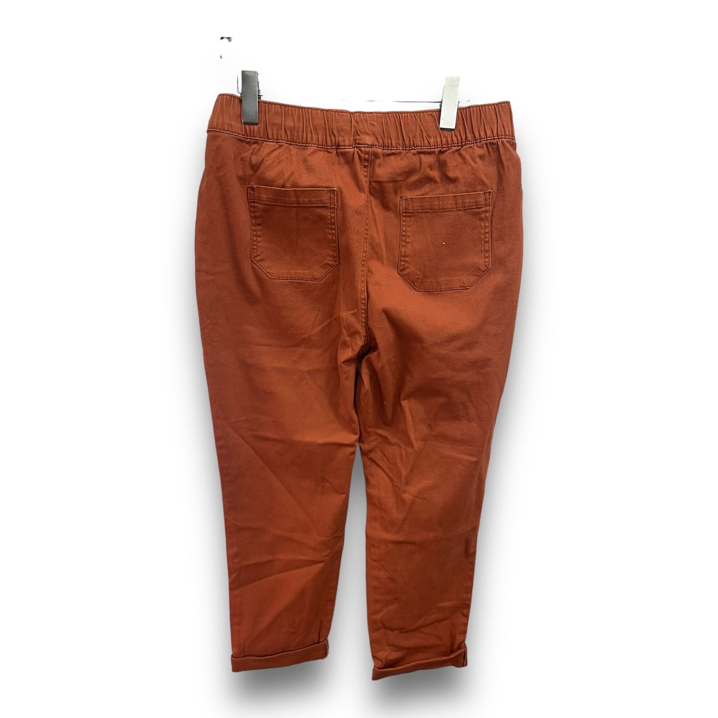 Pants Ankle By Cato  Size: L