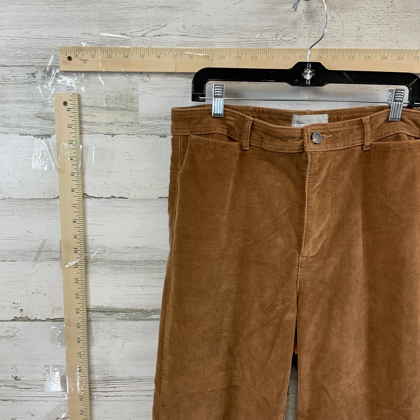 Pants Corduroy By Everlane  Size: 14