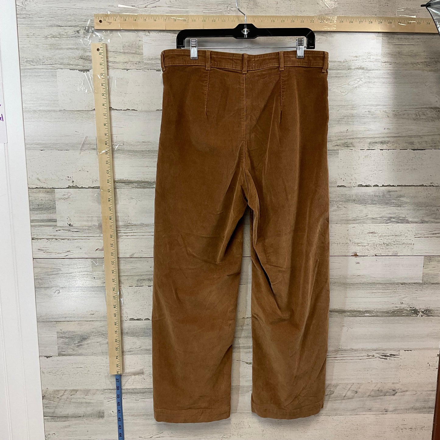 Pants Corduroy By Everlane  Size: 14