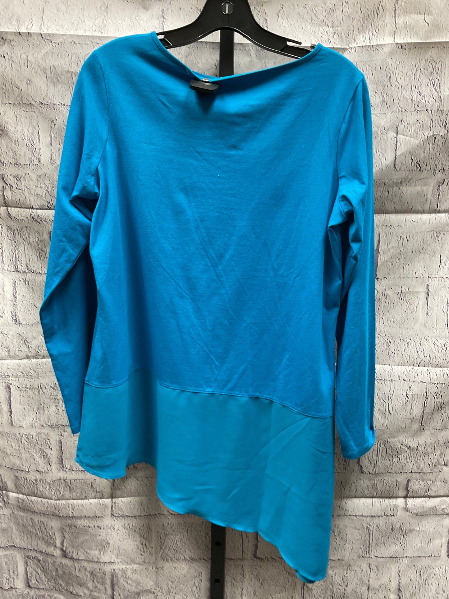 Top Long Sleeve By Diane Gilman  Size: M