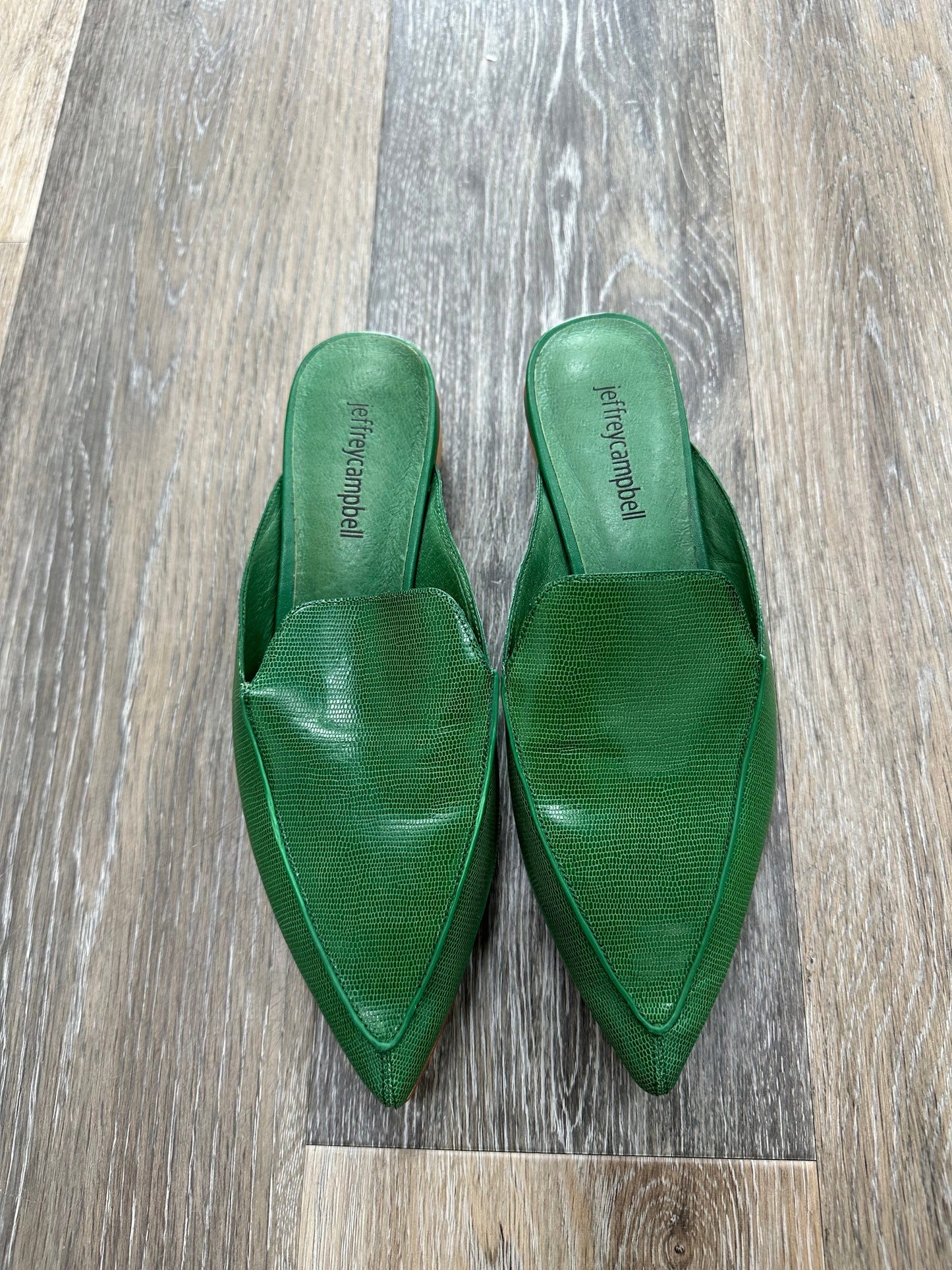 Shoes Flats Mule & Slide By Jeffery Campbell  Size: 6.5