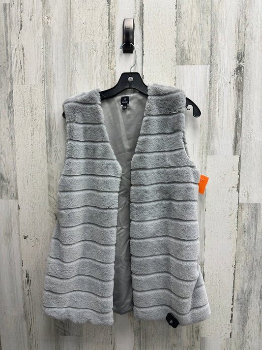 Vest Faux Fur & Sherpa By Echo  Size: M