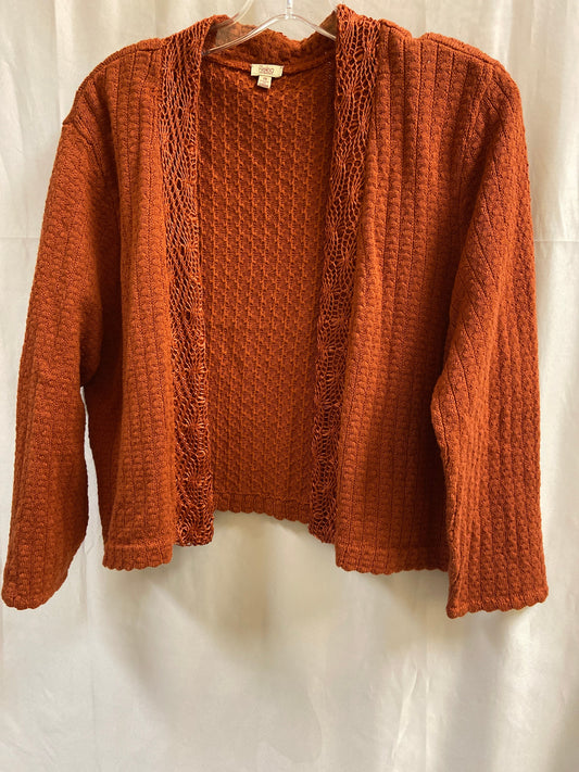 Sweater Cardigan By Reba  Size: 1x