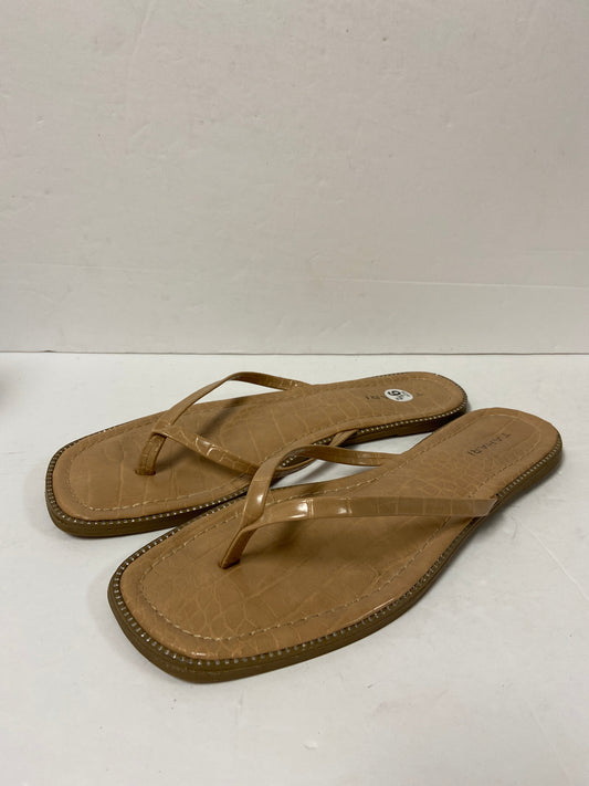 Sandals Flip Flops By Tahari  Size: 9.5
