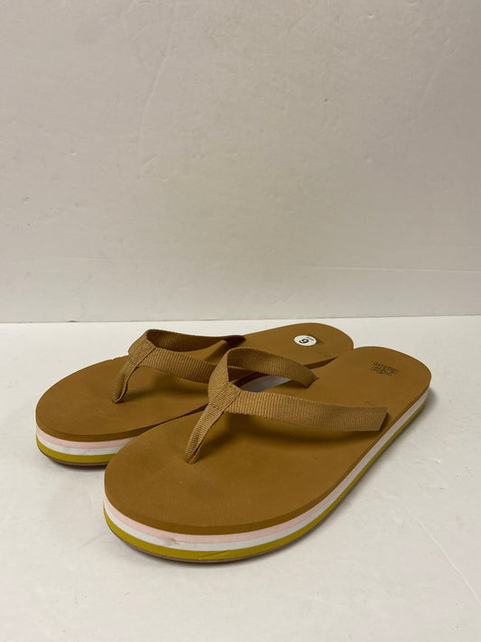 Sandals Flip Flops By Wild Fable  Size: 9