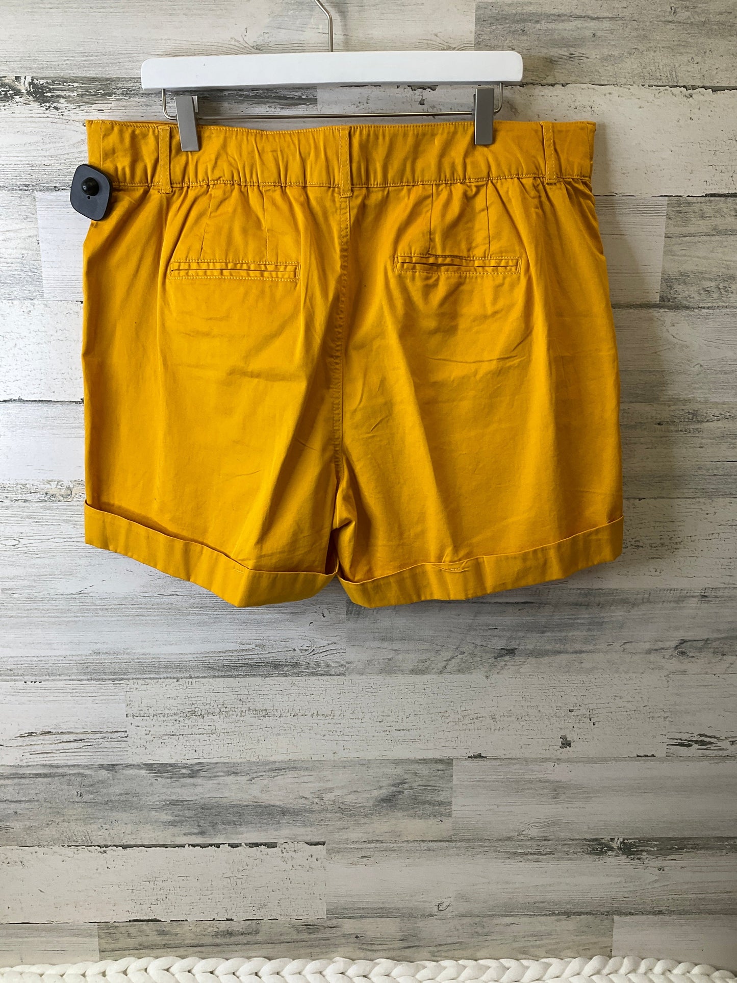 Shorts By Cato  Size: 16