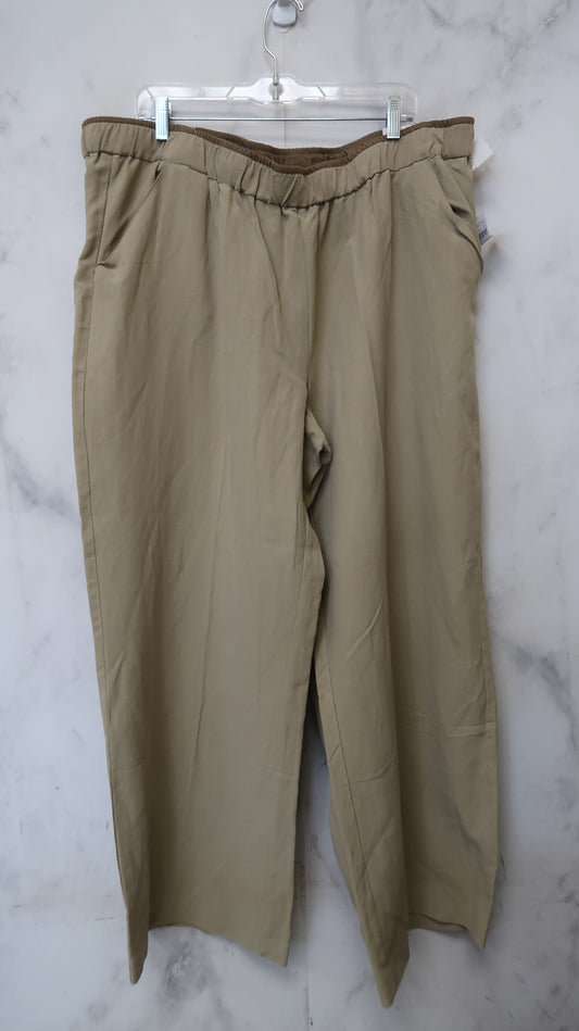 Pants Ankle By Coldwater Creek  Size: 3x