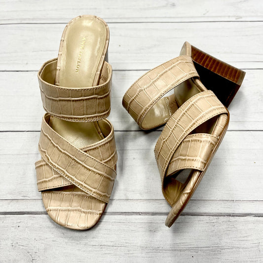 Sandals Heels Block By Ann Taylor  Size: 5.5