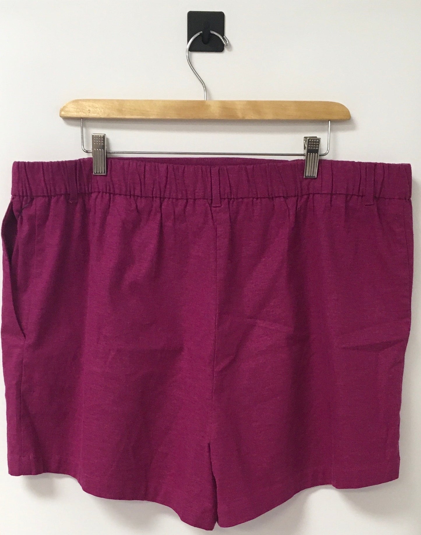 Shorts By Express  Size: Xl