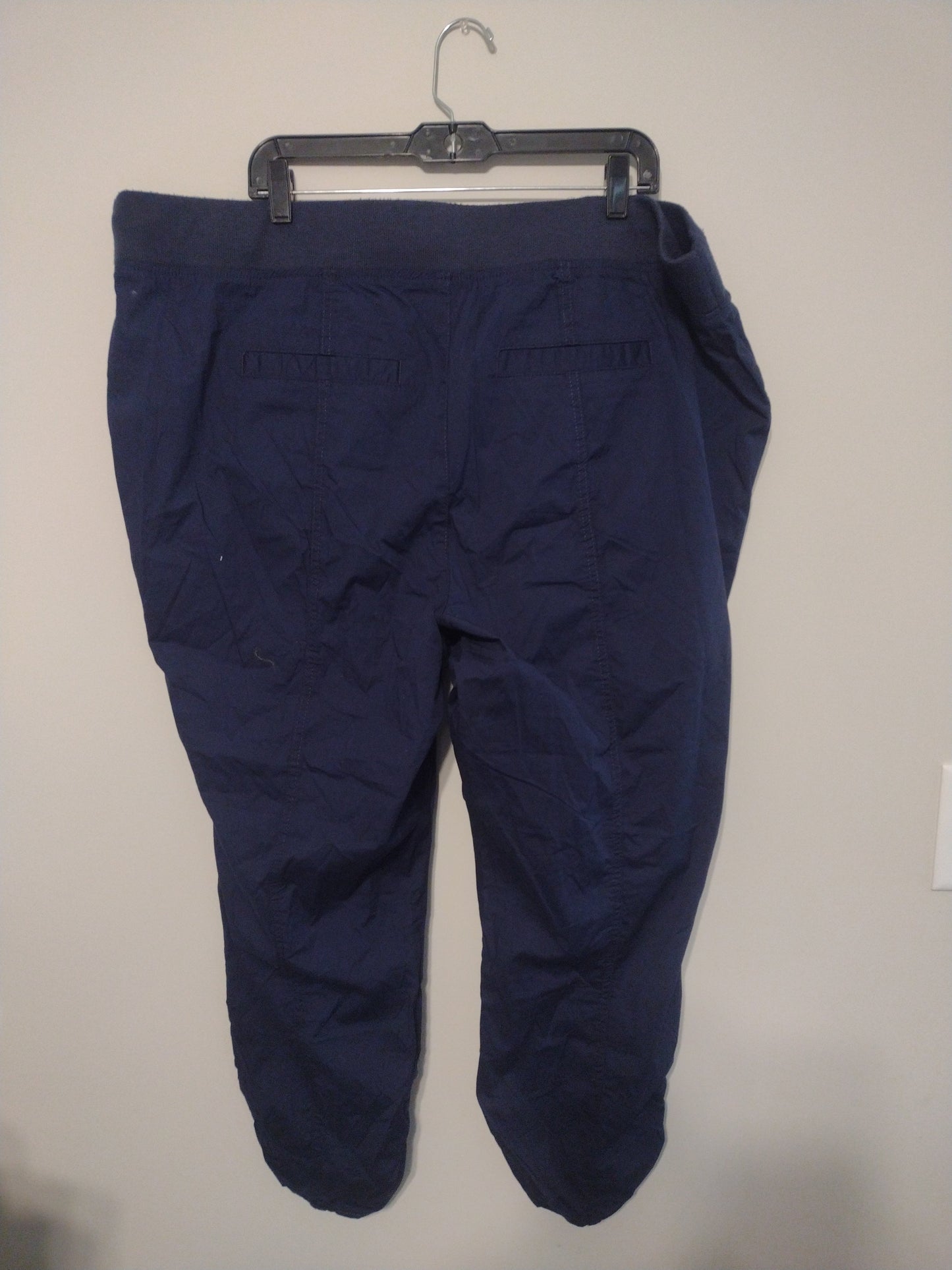 Pants Ankle By Torrid  Size: 3x