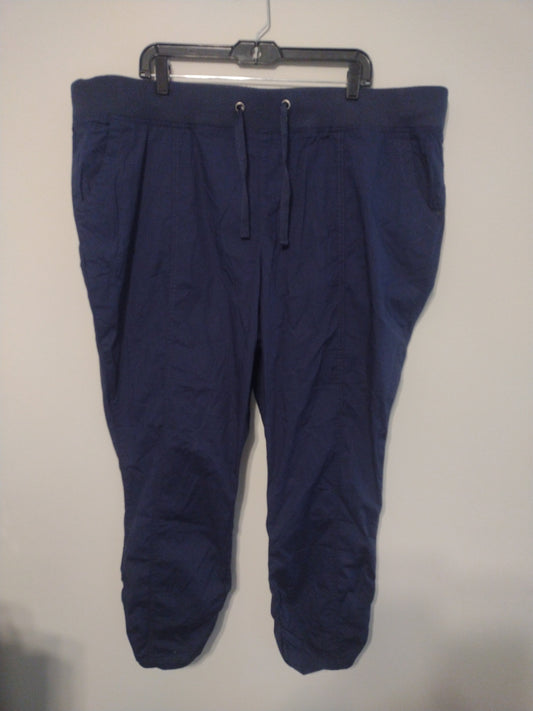 Pants Ankle By Torrid  Size: 3x