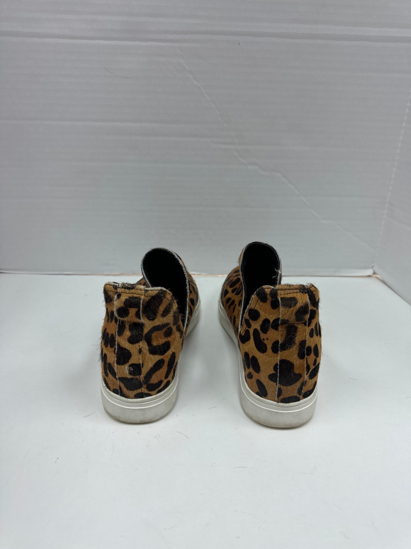 Shoes Sneakers By Steve Madden  Size: 7