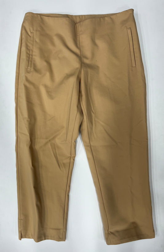 Pants Ankle By Debbie Shuchat  Size: 12