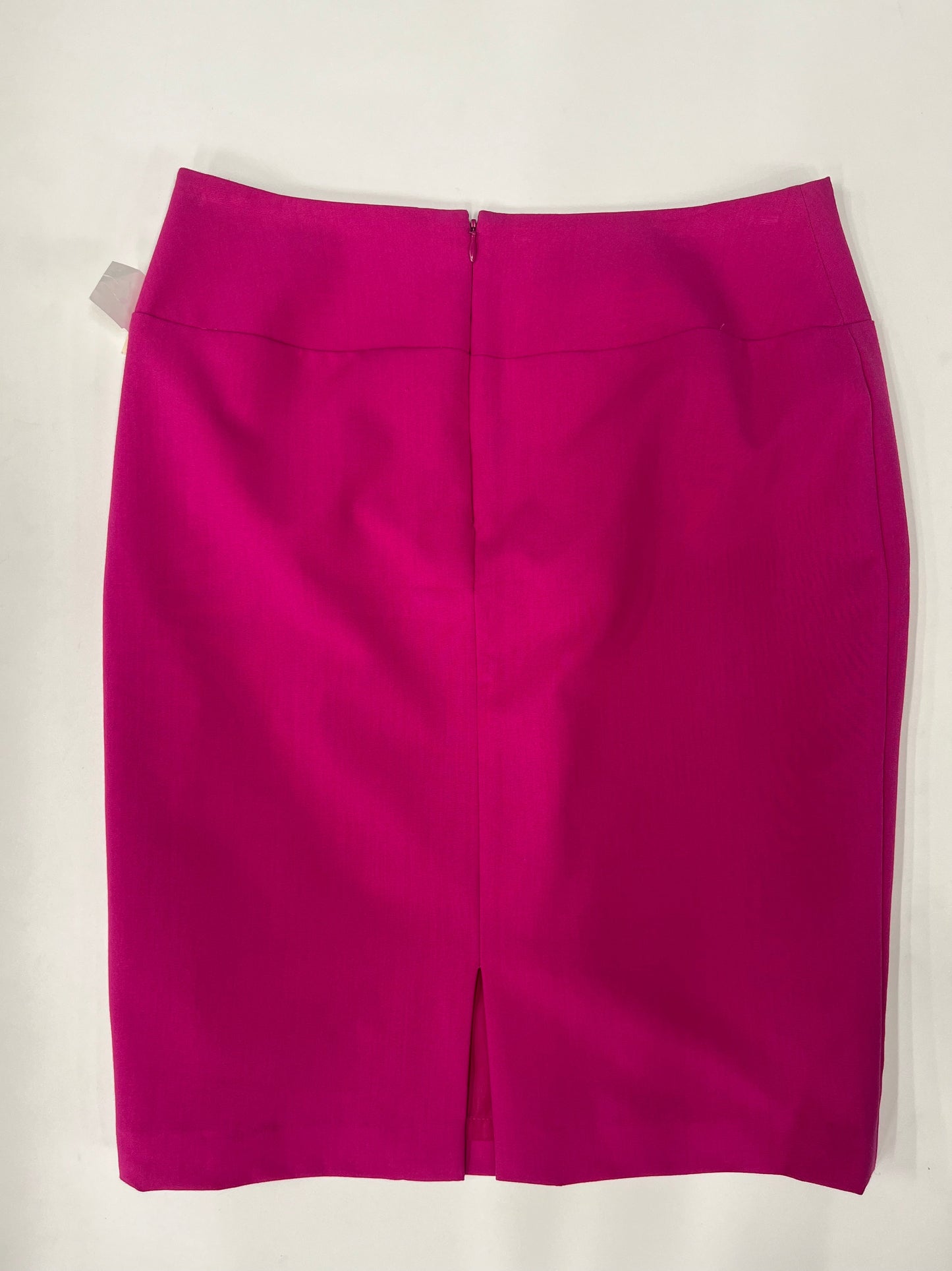 Skirt By Ellen Tracy  Size: 8