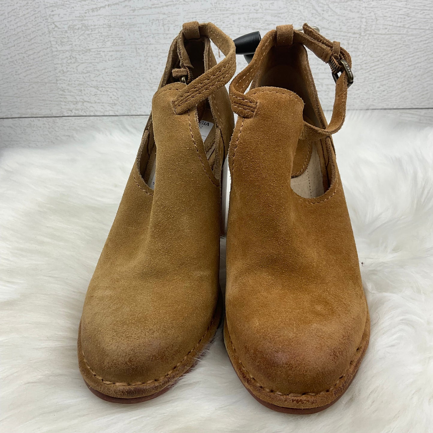 Shoes Designer By Frye  Size: 5.5
