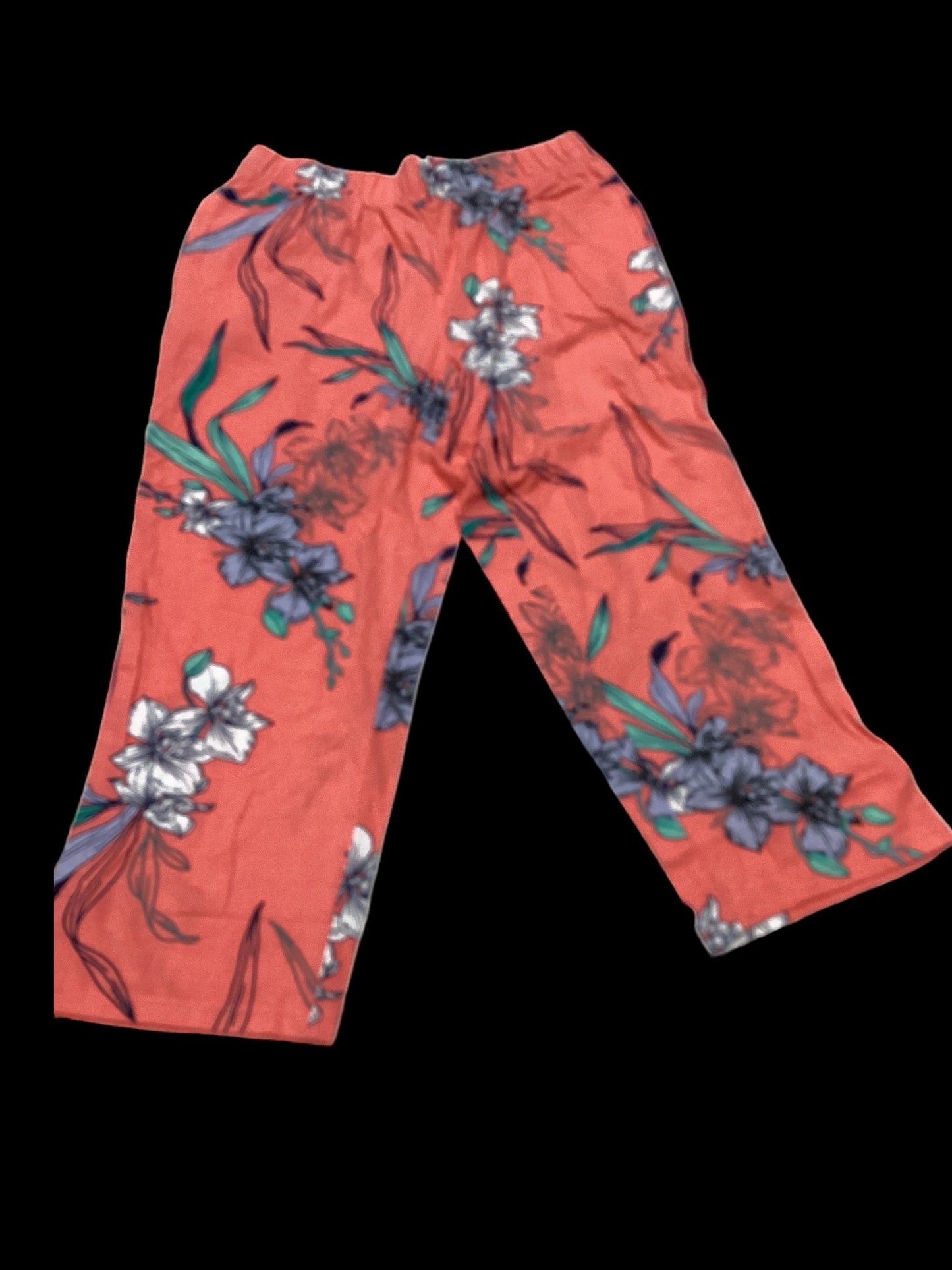 Pants Set 2pc By Liz Claiborne  Size: S