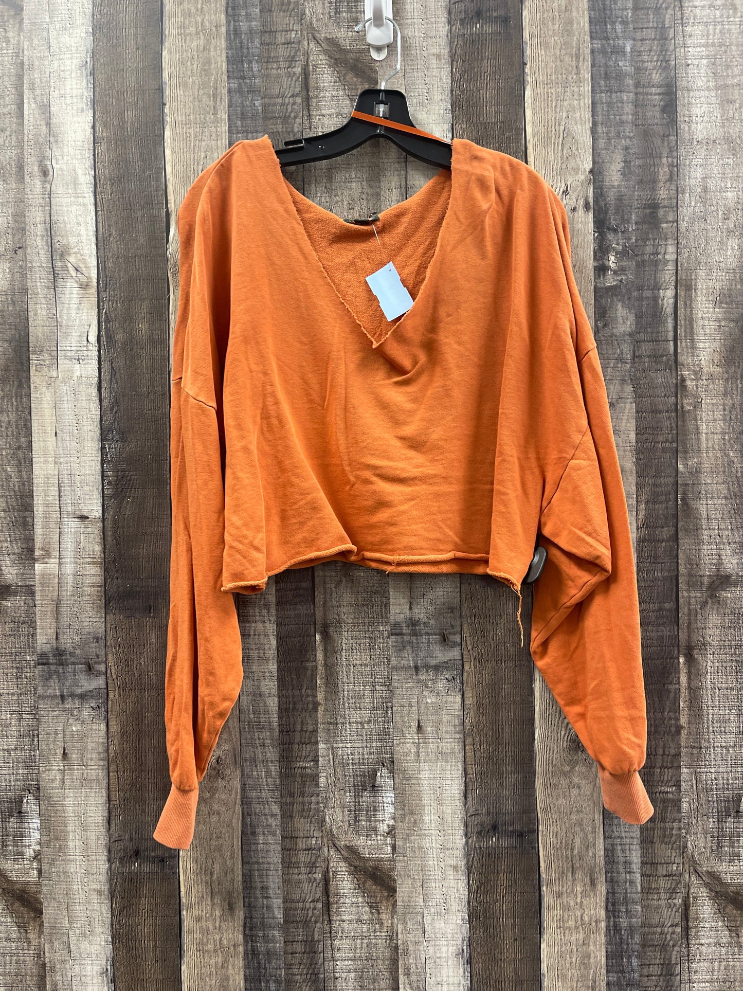 Top Long Sleeve By Wild Fable  Size: L