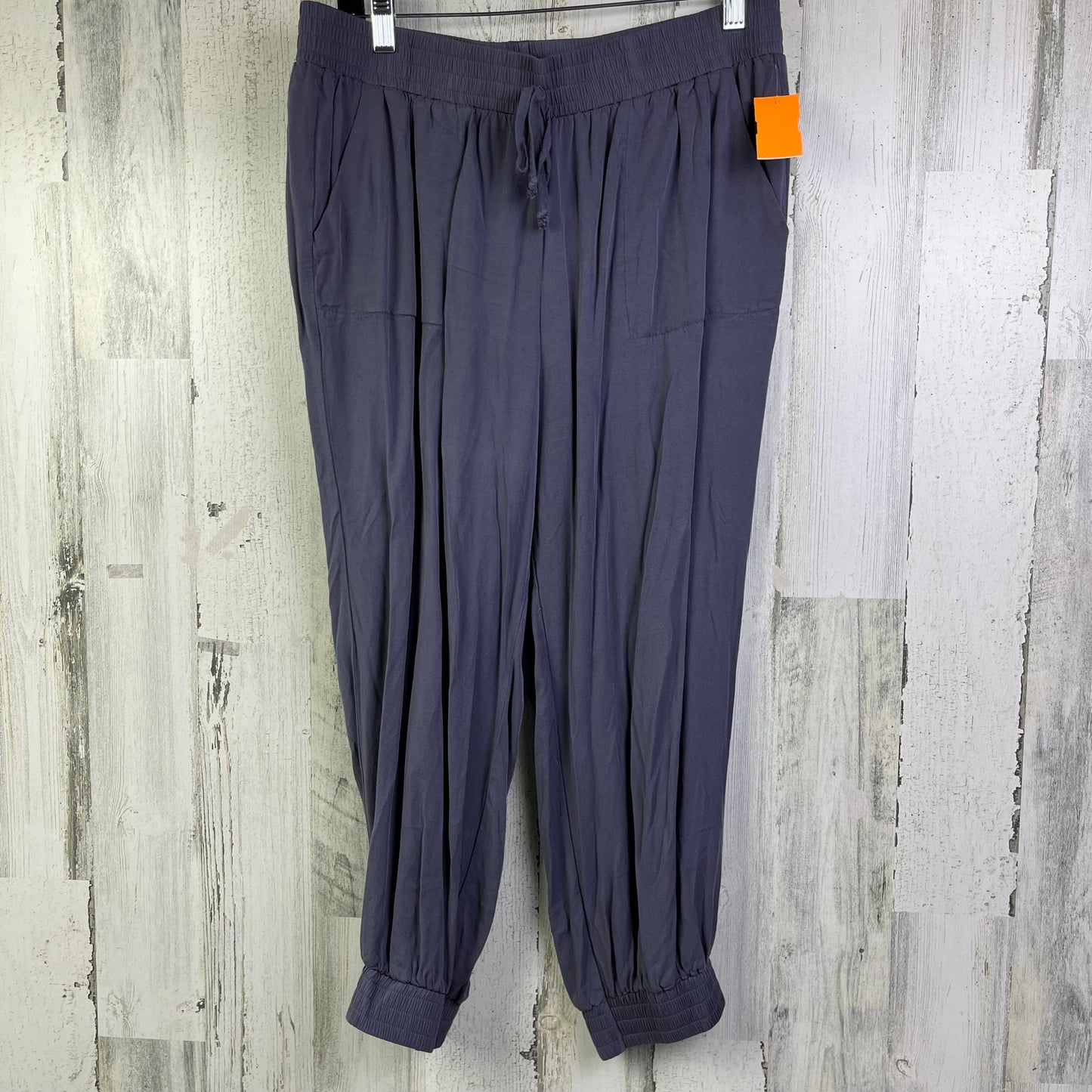 Pants Joggers By Hem & Thread  Size: 12