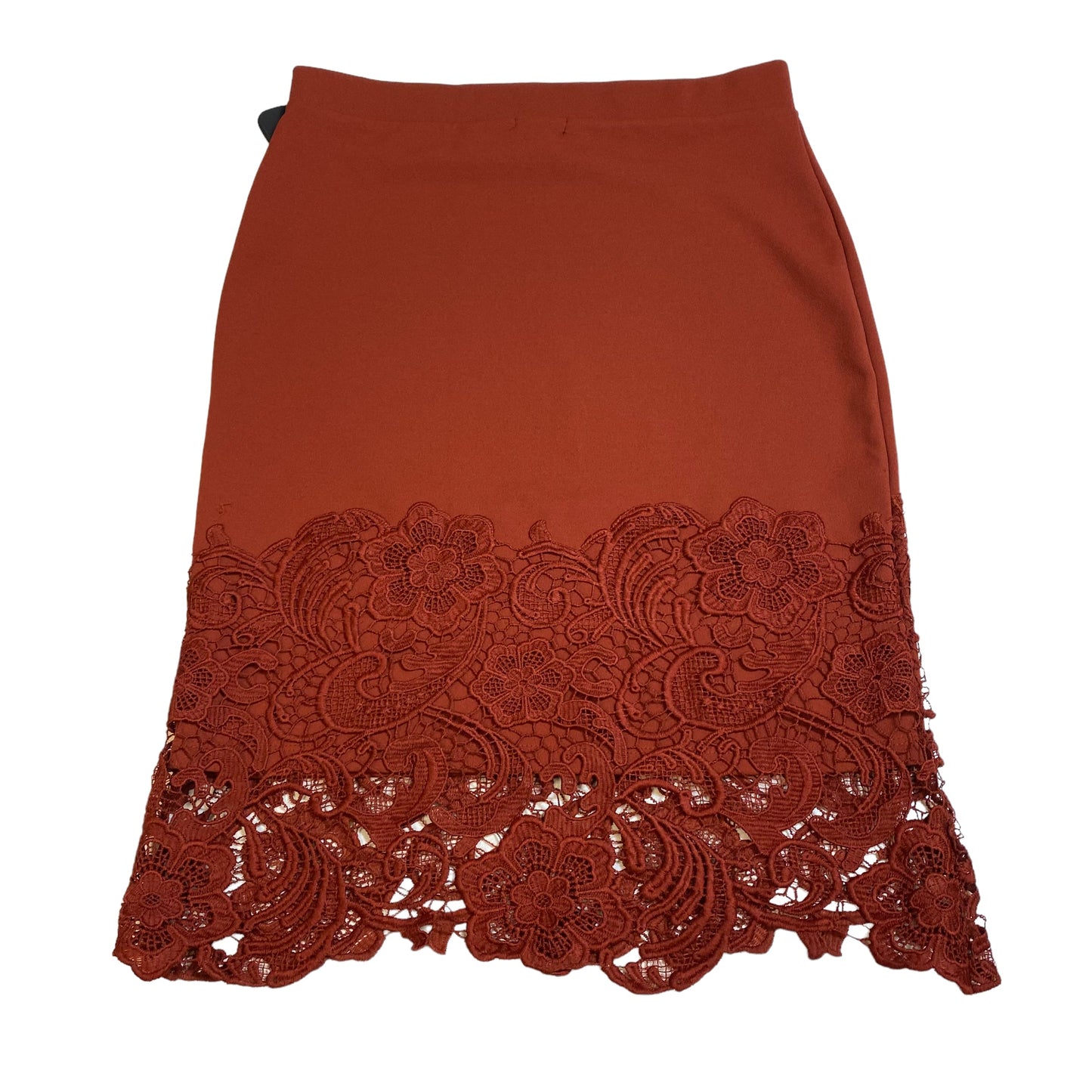 Skirt Midi By Olivia Blu  Size: M