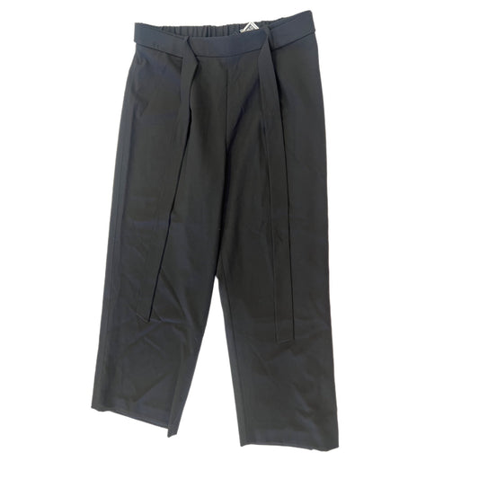 Pants Ankle By Alex Marie  Size: 6