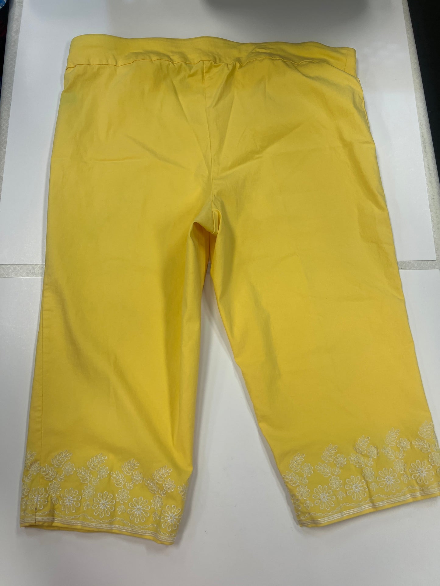Capris By Briggs  Size: 20
