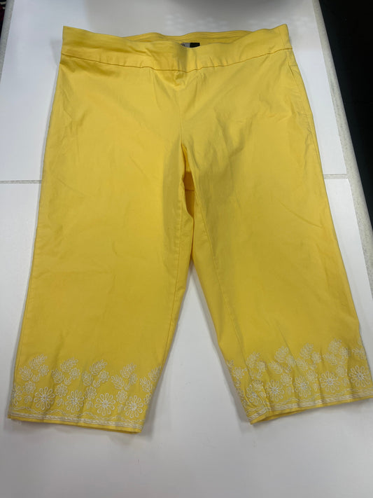 Capris By Briggs  Size: 20